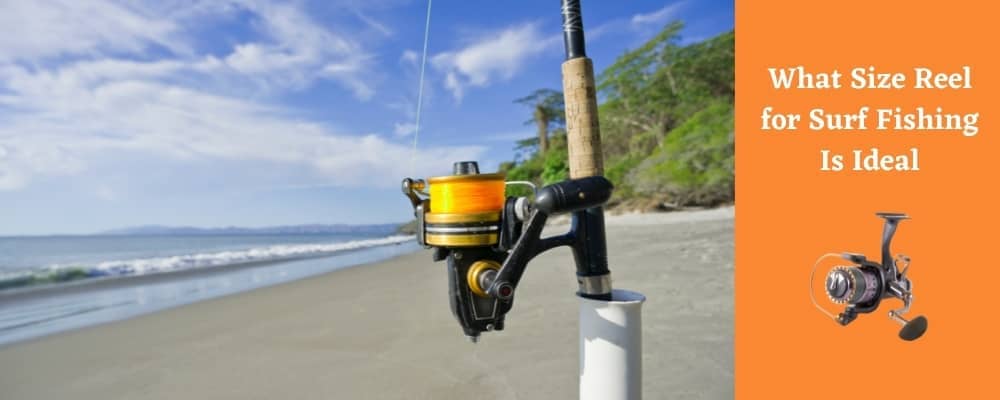 Ideal Reel Size for Surf Fishing