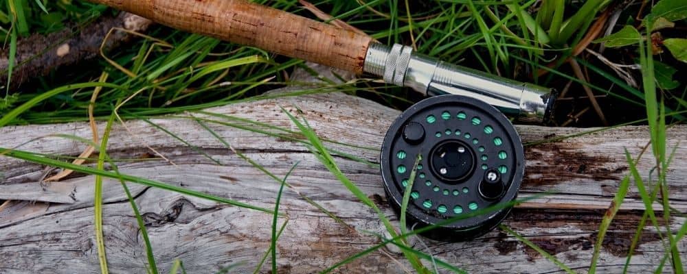 best fly reels for the money