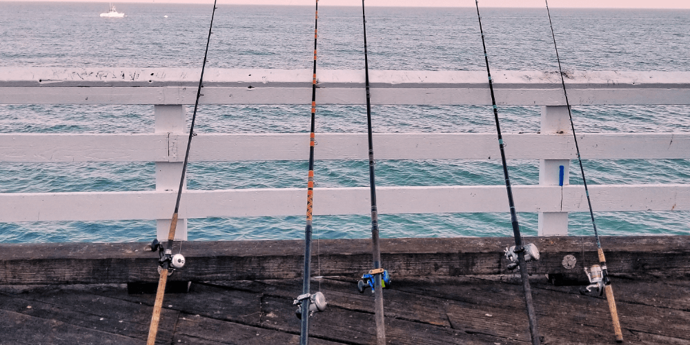 different types of fishing rods