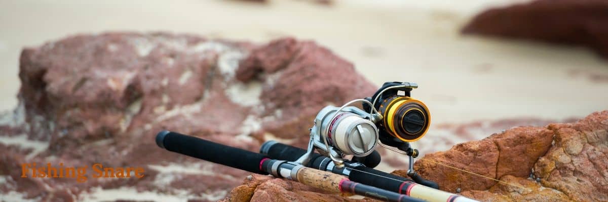 How to Clean A Fishing Reel