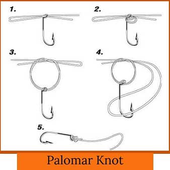 Palomar Knot how to tie