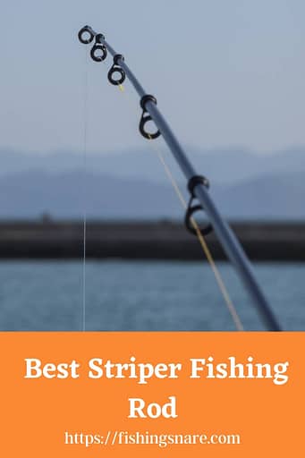 Best Striper Fishing Rod