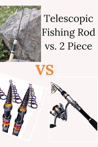 Telescopic Fishing Rod vs 2 Piece