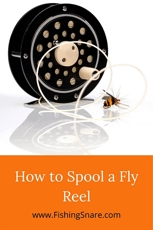 Spool a Fly Reel