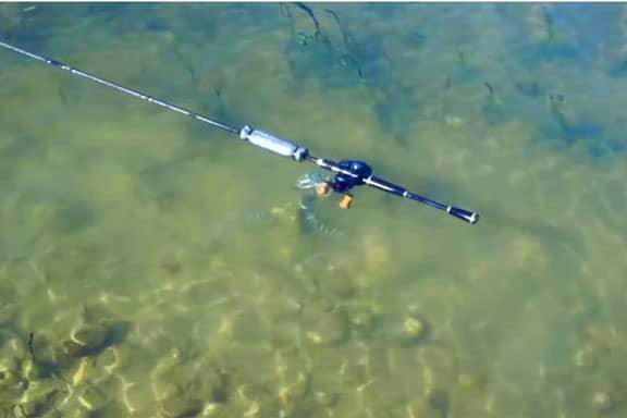 do fishing rods float