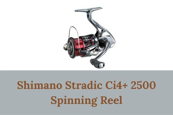 Shimano Stradic Ci4+ 2500 vs 3000