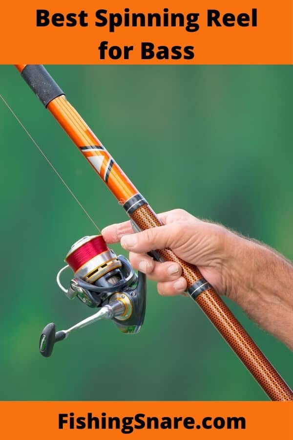 spinning reel for bass