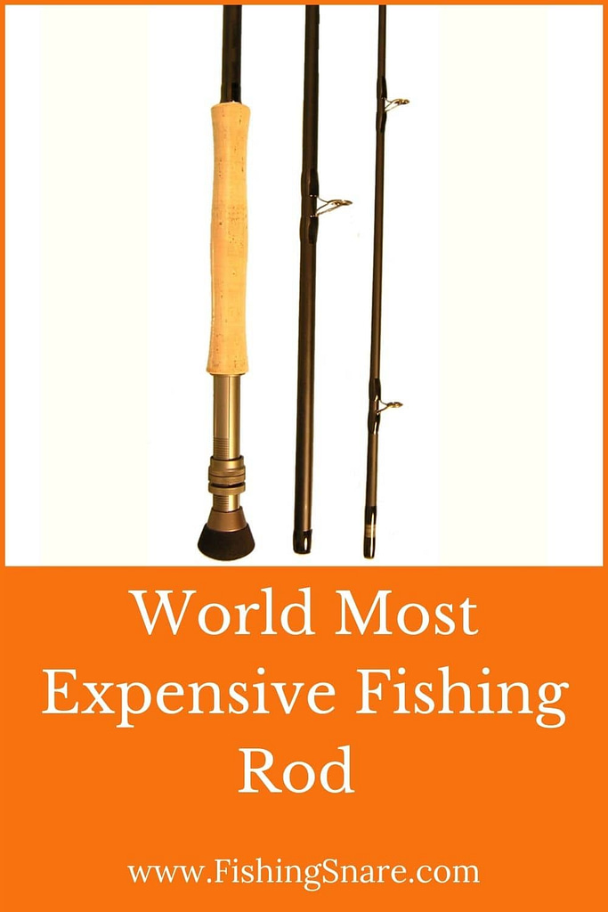 World Most expensive fishing rod