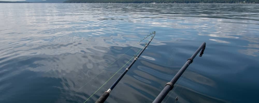 Striper Fishing Rod